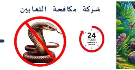 شركة مكافحة حفار الخشب