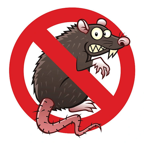 هل الفئران تنقل الامراض