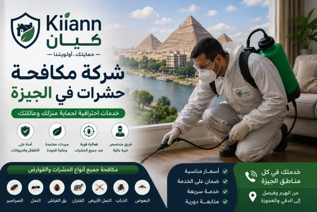 شركة مكافحة حشرات في الجيزة