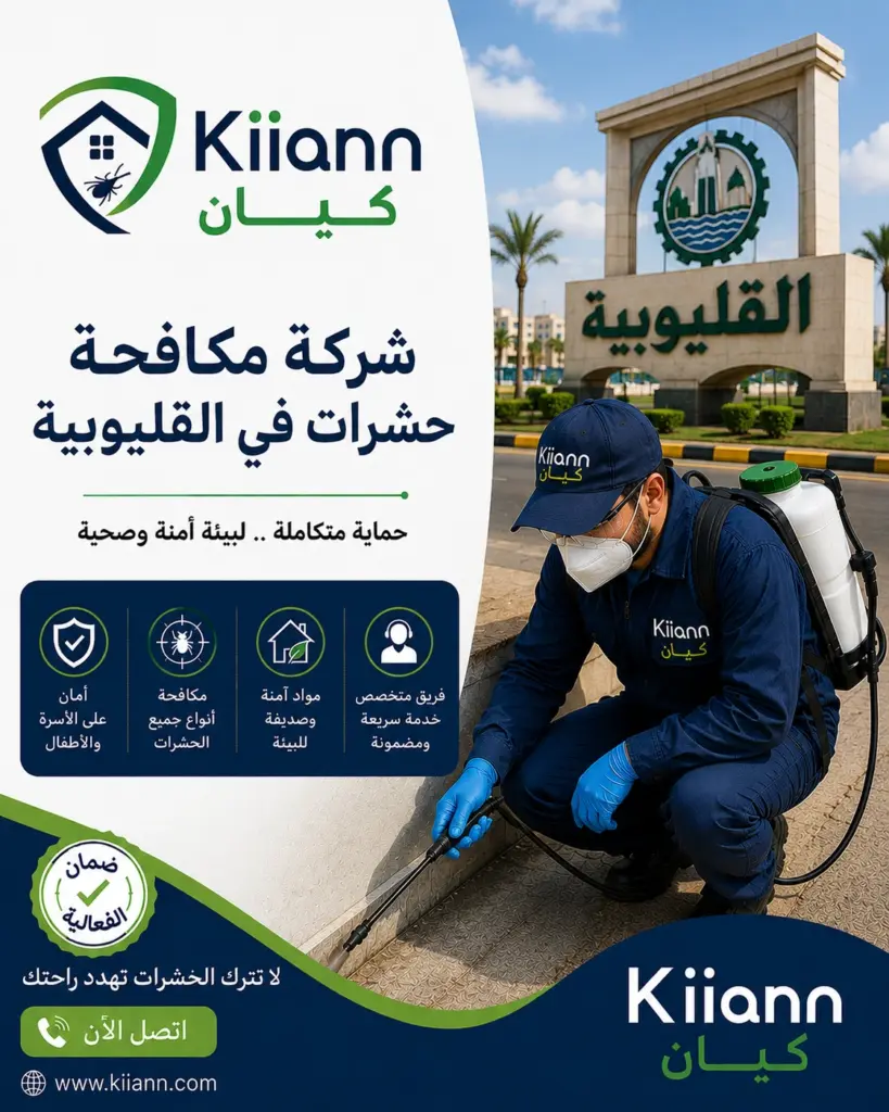 شركة مكافحة الحشرات في القليوبية